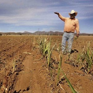 Agricultura de temporal en Querétaro presenta desfase de mes y medio por falta de lluvias